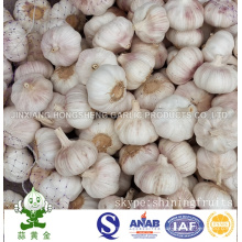 Size: 6.0cm Normal White Garlic From China